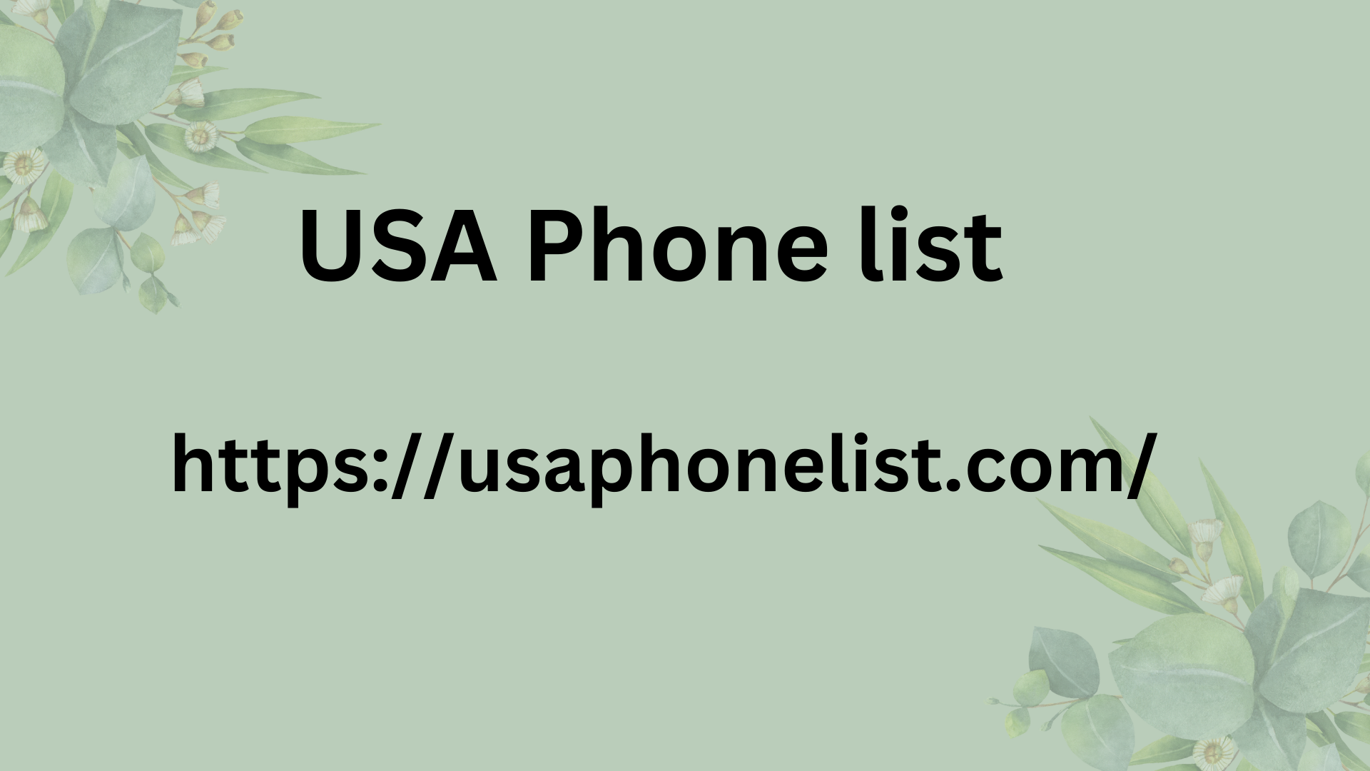 USA Phone List