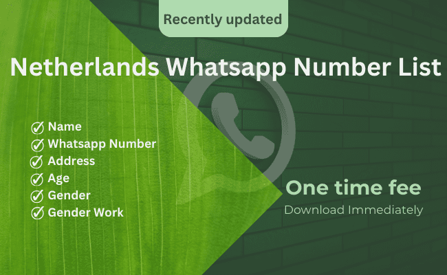 Netherlands WhatsApp Number List